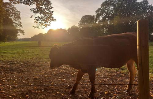 Helle, moderne Wohnung, 2 Schlafzimmer, Nähe Düsseldorf, W-LAN - Foto 21