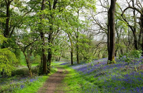 Little Hollows Glamping - Foto 56