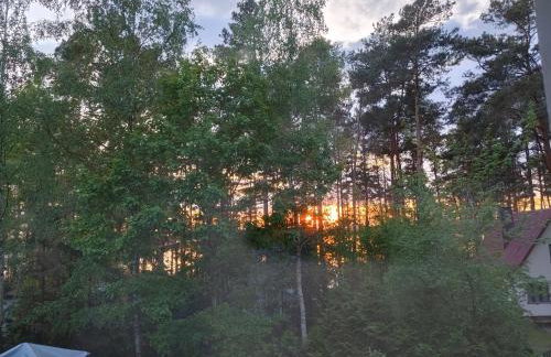 Domek w Borach Tucholskich - Wycinki - Foto 26