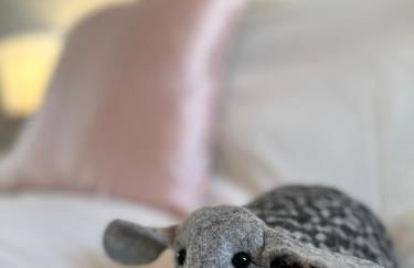 Glyndwr Way Cabin - Photo 8