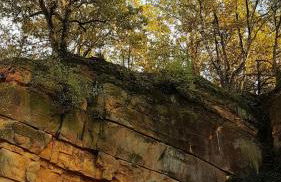 Bei Bille und Jan - Foto 67