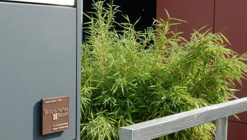 WEITBLICK "entspannen - wohlfühlen - aktiv erholen" - Foto 3