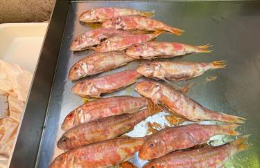 La Franqui Vue Mer Exceptionnel - Foto 39