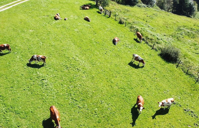 Holiday Flat with Pool Access - Foto 38