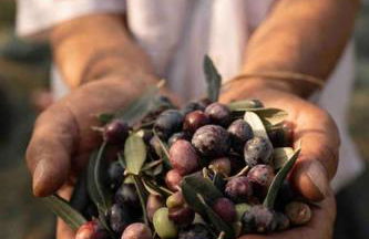 Peaceful Luxury Farmhouse - Stunning Alps Views - Foto 46