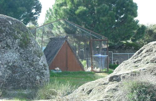 Quinta da Alma Cheia - Foto 74