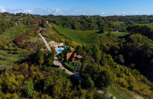 Family friendly house with a swimming pool Gornja Voca, Zagorje - 11873 - Foto 1