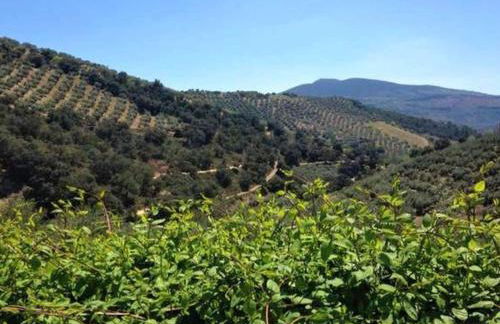 Country House in Andalusia with Pool - Foto 38