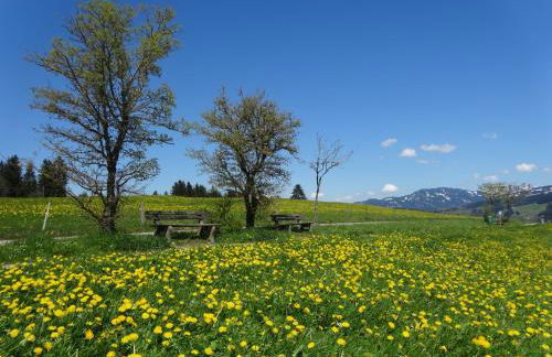 Ferienwohnungen im Färberhaus - Foto 26