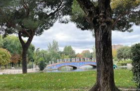 La Alameda Jardines del Prado -Amplio y con ascensor- - Foto 34