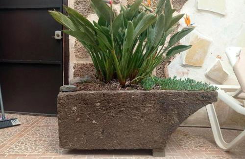 Live Arico Lagar - Foto 39