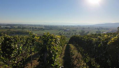 Villa Bonita del Kaiserstuhl - Foto 5