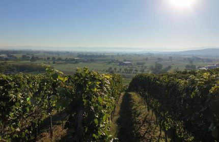 Villa Bonita del Kaiserstuhl - Foto 5