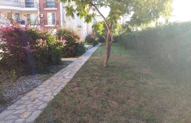 Tiger House - Foto 24