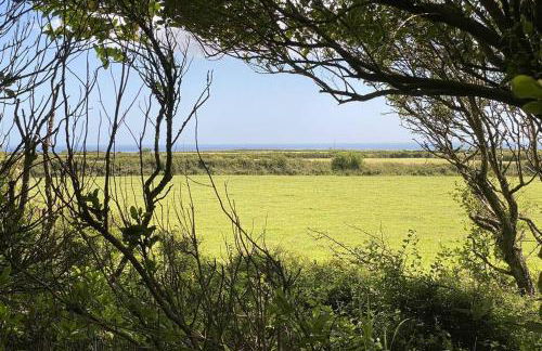 Arrowan Common Farm Cottages - Foto 38