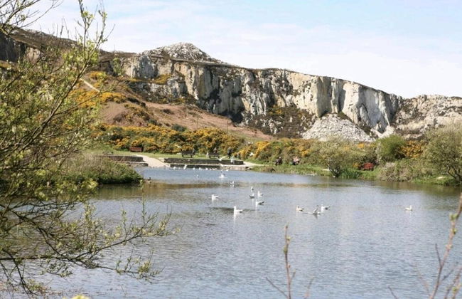 Lligwy House - Charming 3-bed House in Holyhead - Photo 9