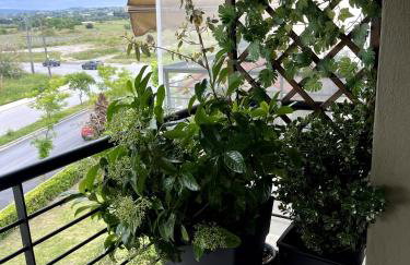 Light Blue - Foto 32