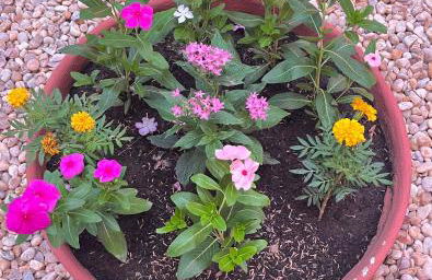 Casa familiar na 405 - Palmas - Foto 14