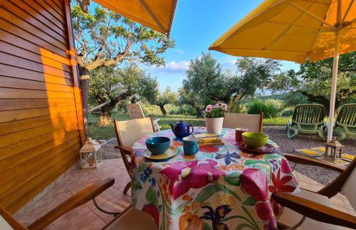 Ktirakia Studios - Foto 5