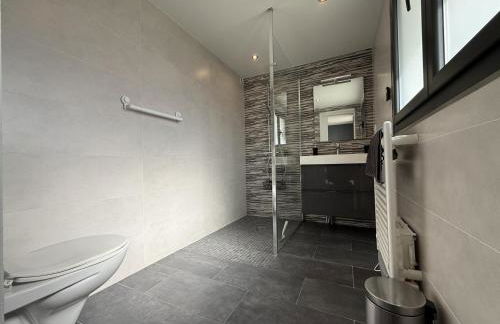 Iduzki-alde bat - Foto 12