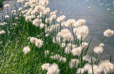 Résidence les Terrasses De La Bergerie (by Sabine et JeanKry) - Foto 42