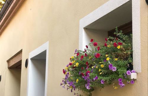 Little canal 8 - Foto 20