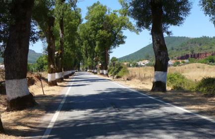 Casa da Rua Nova - Foto 35