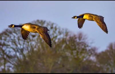 Southfield House - Foto 19