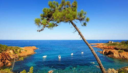 Location estival parfaite : Studio à 50 mètres de la plage, offrant une magnifique vue mer - Foto 4