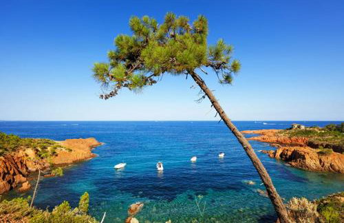 Location estival parfaite : Studio à 50 mètres de la plage, offrant une magnifique vue mer - Foto 4
