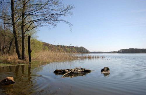 Rancho Colorado - Foto 17