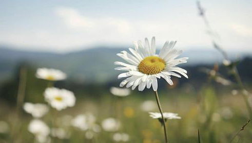 Allgäu-Glück Grünenbach - Foto 4