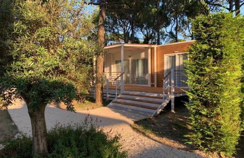 Dune Prestige & Chalets - Foto 27