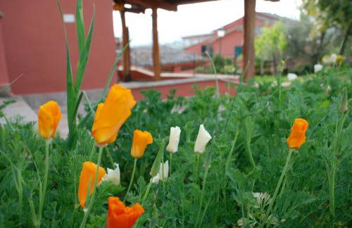 Tenuta San Savino delle Rocchette - Foto 58