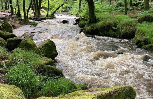 Cargibbitt Annexe - Foto 42