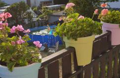 Ferienwohnung Weingut Leis - Foto 20