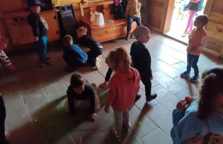 Agroturystyka Zielony Domek - Apartament na wyłączność, slow life, staw, oswojone zwierzęta gospodarskie, posiłki z własnych eko produktów - Foto 39