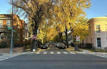 Elegant Garden Suite Minutes Walk to Union Market and NoMa Metro - Foto 19