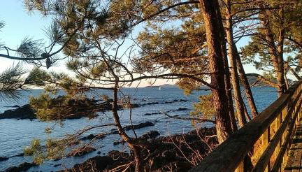 Chalet en enclave privilegiado - Foto 2