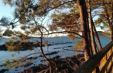 Chalet en enclave privilegiado - Foto 2