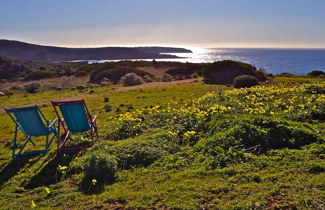 Poecylia Resort - Photo 36