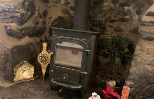 Bwthyn Nain Cottage near Harlech with ocean views - Foto 24