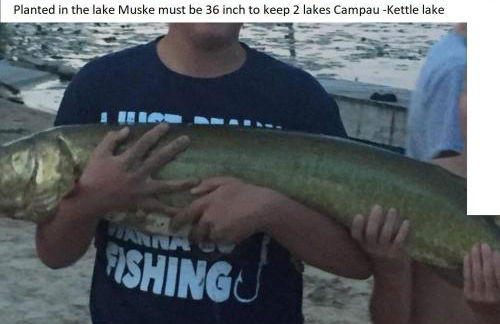 Airport Waterfront Cottage w transportation - Foto 3