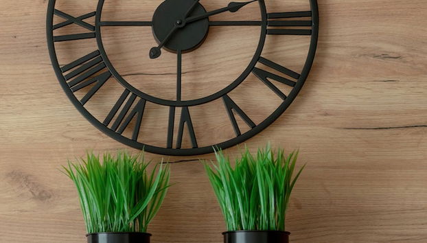 Amazing Studio With Balcony by Renters - Foto 3, Cocina privada