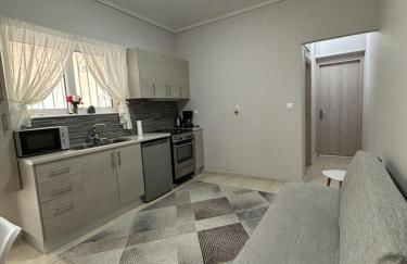 Όμορφο διαμέρισμα (Αργυρούπολη) - Foto 2