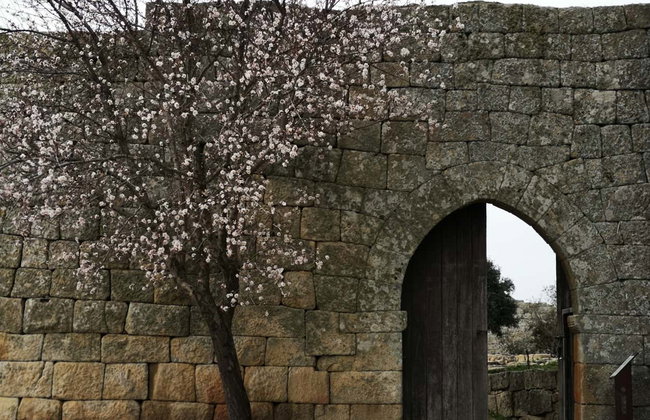 Senderismo por Vilar Maior - Photo 3