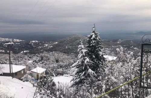 Nature Paradise Apartment - Photo 35