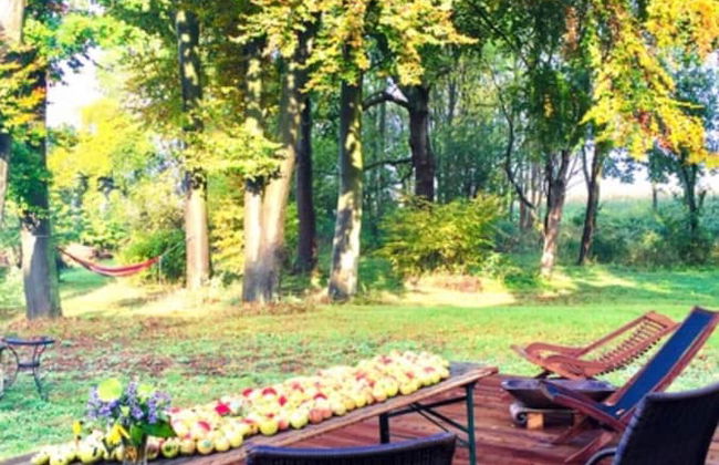 Wohnung in Neuburg Nahe Ostseestrand - Foto 7