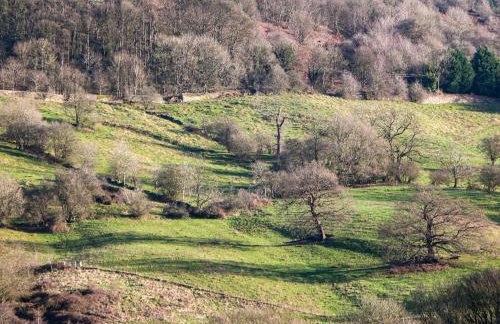 The Old Post Office - Photo 44