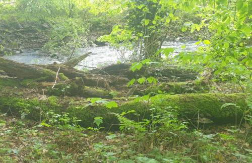 Oma Lina Haus - 4 SZ 2 Bäder großer Garten und Infrarot-Sauna - Photo 30